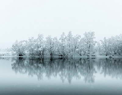 Түркістан облысында бірнеше полиция қызметкеріне қатысты сот үкімі шықты