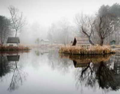 Салық реформасы: әдемі сөздер мен шынайы ахуал арасындағы алшақтық