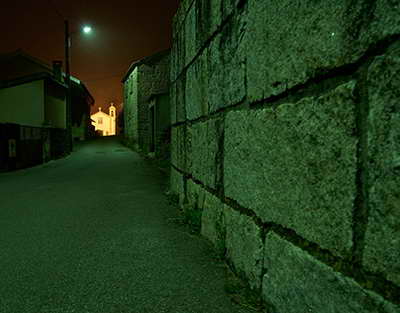 Bu köpəkbalıqları dostlaşa və 'narahat' fərdlərdən uzaq qala bilir - TƏDQİQAT